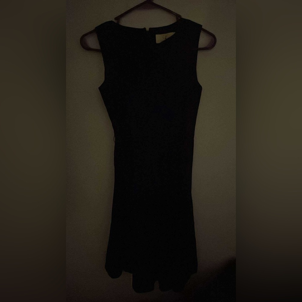 Elegant Black Sleeveless Dress